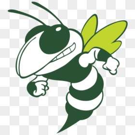 Yellow Jacket Oxnard High School, HD Png Download - basketball clip art png