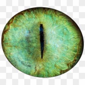 #eyes #eye #pupil #demon #green #cat #глаза #глаз #зрачок - Caterpillar, HD Png Download - demon eye png