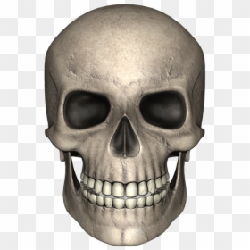Thumb Image - Skull Head Png Free, Transparent Png - halloween skull png