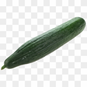 Pickled Cucumber Fruit - Cucumber Png, Transparent Png - pepino png