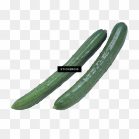 Pepino - Cucumber, HD Png Download - pepino png