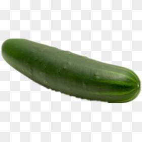 #pepino - Cucumber, HD Png Download - pepino png