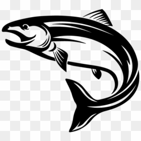 Salmon Clipart Black - Ikan Salmon Vector, HD Png Download - fish swimming png