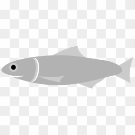 Anchovy, Fish, Grey, Swim, Sea, Food, Swimming, Animal - Teri Ikan Anime Png, Transparent Png - fish swimming png