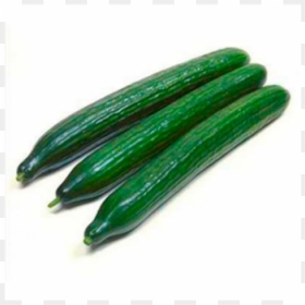 Pepino Europeo - Cucumber Proloog, HD Png Download - pepino png