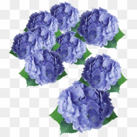Flower Purple Hydrangea Floral Design - Flower, HD Png Download - lavender flower png