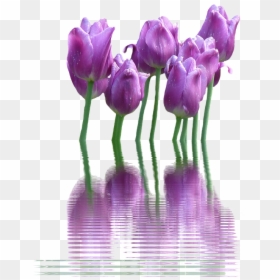 Spring Flower Png Transparent - Flower, Png Download - lavender flower png