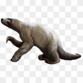 Sloth Png, Transparent Png - sid the sloth png
