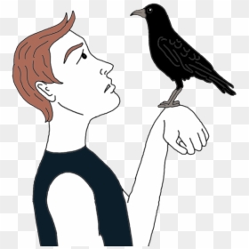 Raven - Crow Spiritual Meaning, HD Png Download - raven flying png