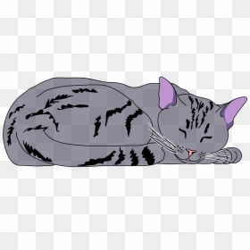 Clipart Sleeping Cat Png, Transparent Png - cute kitty png