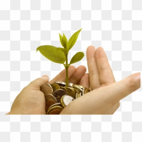 Money On Hand Png, Transparent Png - hand with money png
