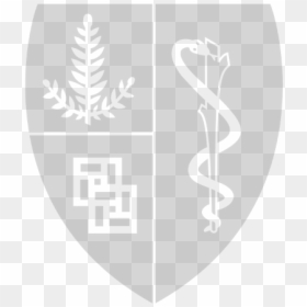 Stanford Medicine Logo White, HD Png Download - stanford university logo png