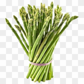 Leek - Fresh Asparagus Transparent Background, HD Png Download - leek png