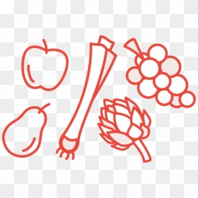 Apple, Pear, Vine, Grape, Artichoke, Leek, Food, Fresh - ต้น หอม ลาย เส้น, HD Png Download - leek png