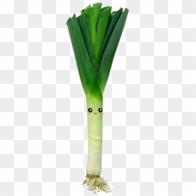 Mein Neuer Aufkleber ❤️ - Leak Vegetables, HD Png Download - leek png