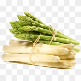 White And Green Asparagus - D Asperge, HD Png Download - leek png