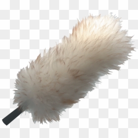 [​img] - Lwduo Unger, HD Png Download - feather duster png