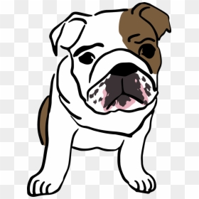 English Bulldog Puppies Cartoon, HD Png Download - english bulldog png