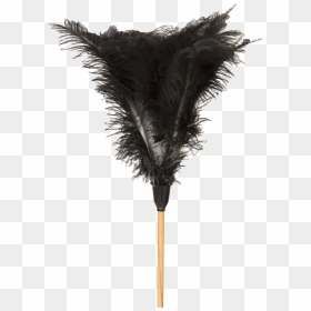 Dusting Feather South Africa, HD Png Download - feather duster png