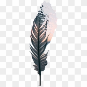 Meditation, HD Png Download - feather duster png