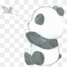 Cute Panda Tumblr Pintrest Sticker By Verenapjatko - Easy Cute Panda Drawing, HD Png Download - pintrest png