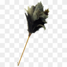 Thumb Image - Flower, HD Png Download - feather duster png