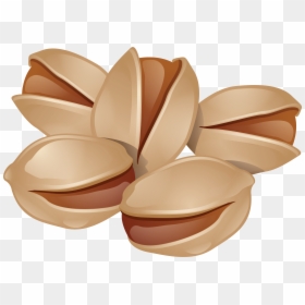 Pistachios Png, Transparent Png - pistachio png