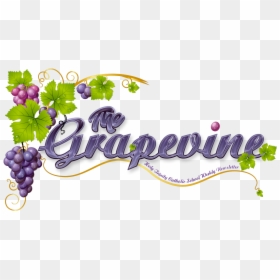 Grape Vine Clipart , Png Download - Grape Vine Border Png, Transparent Png - grape vines png