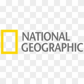 National Geographic Channel Logo Png, Transparent Png - national geographic png