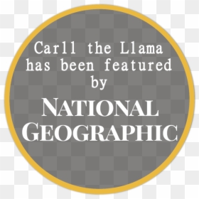 Carll Nat Geo Label - Angry Birds National Geographic, HD Png Download - national geographic png