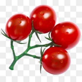Plum Tomato, HD Png Download - vegetables transparent png