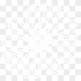 Gerbera Daisy Clipart Black And White, HD Png Download - white sun png
