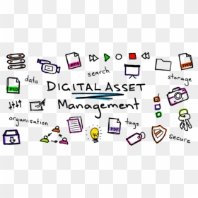 Web Development Services - Digital Asset Management, HD Png Download - dam png