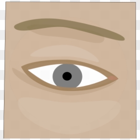 Human Eye, Rendered From Eye - Illustration, HD Png Download - human eye png