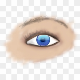 This Free Clipart Png Design Of Human Eye Clipart Has - Part Of Eye Is Donated, Transparent Png - human eye png
