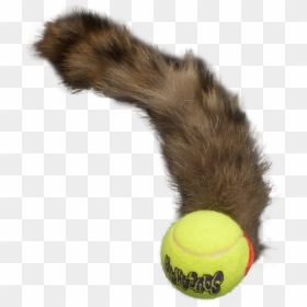 Ball And Tail Toy, HD Png Download - tennis ball png