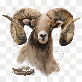 Transparent Background Sheep Images Hd Png, Png Download - sheep png