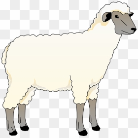 Animated Picture Of Sheep, HD Png Download - sheep png