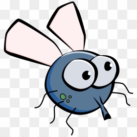 Cartoon Fly Clipart, HD Png Download - fly png