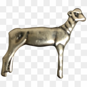 Deer, HD Png Download - sheep png