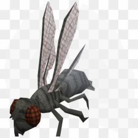 Demonic Giant Flies Pathfinder, HD Png Download - fly png