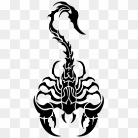 Scorpio Symbol, HD Png Download - tribal png
