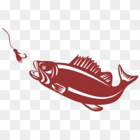 Flies Fly Fishing Clipart, HD Png Download - fly png