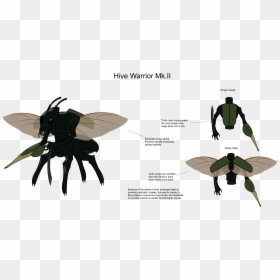 Illustration, HD Png Download - fly png