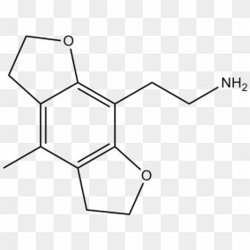 Salicylate De Sodium, HD Png Download - fly png