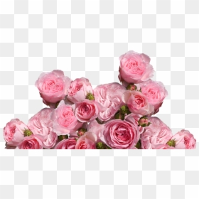 Aesthetic Pink Flowers Png, Transparent Png - pink flower png