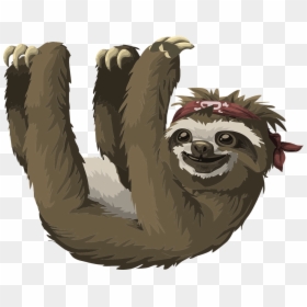 Pygmy Three Toed Sloth Cartoon, HD Png Download - sloth png