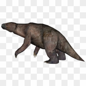 Giant Ground Sloth Png, Transparent Png - sloth png