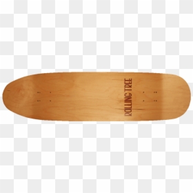 Skateboard Deck, HD Png Download - skateboard png
