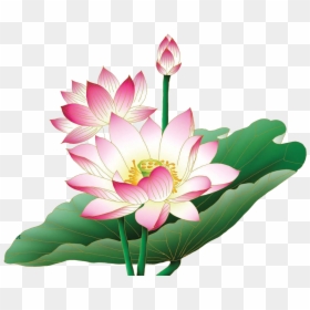 Lotus Flower Clipart Png, Transparent Png - lotus png